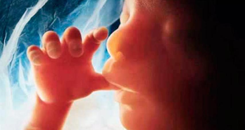 Running Out Of Womb • Torah.org