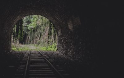 Chapter 7, Law 6(c) –  Tunnel Vision, Part III