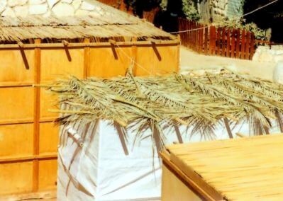 sukkah_roofs