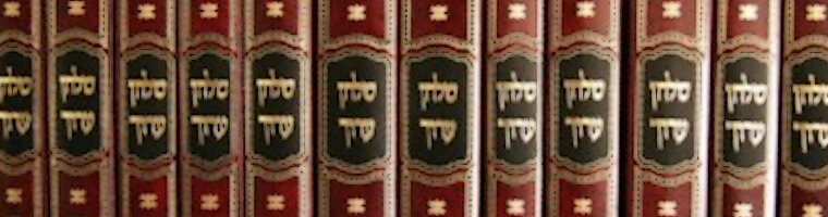 Chapter 22 - THE TORAH SCROLL •