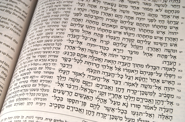 Shabbat Shalom: Insights on the Weekly Torah Portion From the Heart of  Biblical Israel
