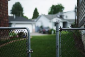 alvin-engler-102560-unsplash-300x200.jpg