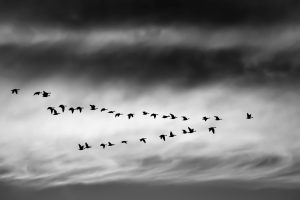 ethan-weil-262745-unsplash-300x200.jpg