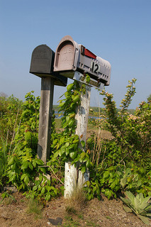 Getting the Message