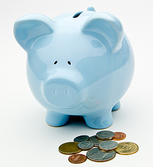 Kosher Piggy Bank