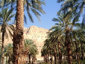 The Land of Israel