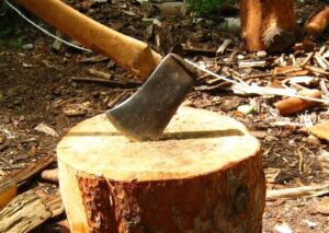 Lessons from Wood-Choppers