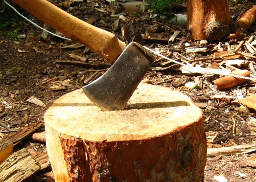 Lessons from Wood-Choppers