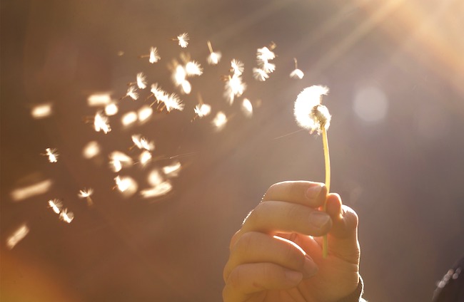 Hope Against Hope