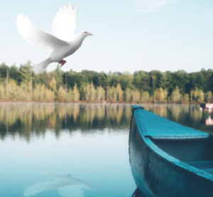 True Peace