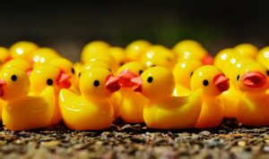 The Power of Groupthink