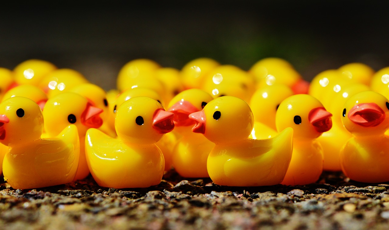 The Power of Groupthink