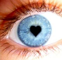 Open Your Heart and Then Your Eyes