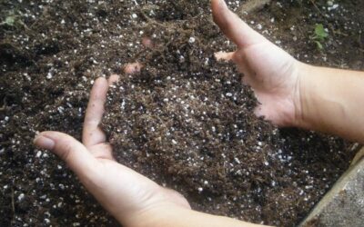 The Power of Dirt: The True Source of Our Strength