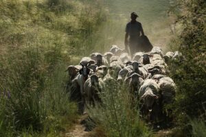 Preparation… for More than a Lifetime