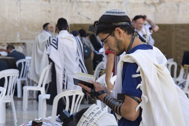 A man wearing a tallis and tefillin praying from a siddur at the Western Wall