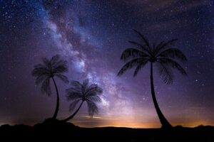 The Milky Way in a starry night sky over a desert, with palm trees silhouetted on the horizon